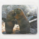 Suche nach das valentinsgruss mousepads Niedlich