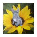 Suche nach bulldog fliesen Franchise