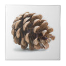 Suche nach single sein fliesen Braun