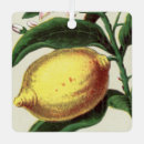 Suche nach lemon ornamente Vintag