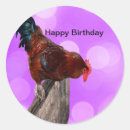 Suche nach lustige hühner aufkleber Geflügel