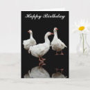 Suche nach weiße federn karten Foto