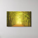 Suche nach tunnel leinwandbilder Weg