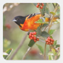 Suche nach migration aufkleber Usa