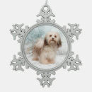 Suche nach havanese ornamente Hund