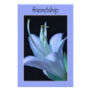 Suche nach blume foto poster Wohngestaltung