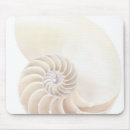 Suche nach nautilus muschel mousepads Meereswelt