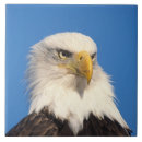 Suche nach profil fliesen Patriotisch