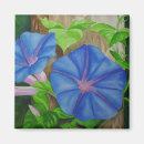Suche nach winde magnete Blume