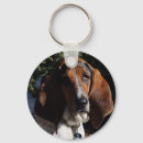 Suche nach basset schlüsselanhänger Dachshund