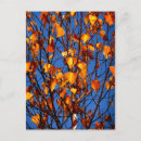 Suche nach herbstblätter postkarten Rückgang