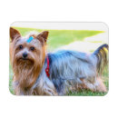 Suche nach terrier magnete Kühlschrank