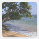 Suche nach hawaii strand aufkleber Tropisch