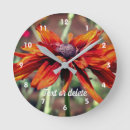 Suche nach black eyed susan Flower