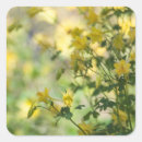 Suche nach arizona aufkleber Blume