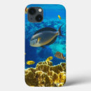 Suche nach fischer samsung hüllen Blau