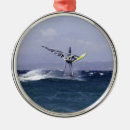 Suche nach windsurf ornamente Surfer