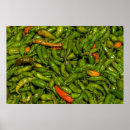 Suche nach chilis poster Gemüse