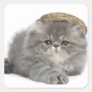 Suche nach persian aufkleber Tier