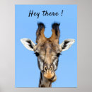 Suche nach giraffen foto poster Lustig