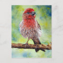 Suche nach finke postkarten Niedlich