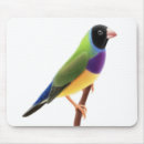 Suche nach spatz elektronik zubehör Wild lebende tiere