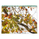 Suche nach paare kalender Tiere