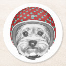 Suche nach yorkshire terrier untersetzer Niedlich
