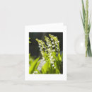 Suche nach maiglöckchen karten Frühling
