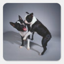 Suche nach playful aufkleber Spaß