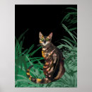 Suche nach bengalische katze poster Haustier