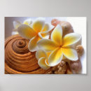 Suche nach weiße muscheln poster Blume