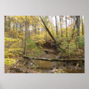 Suche nach baum poster Wald