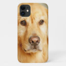 Suche nach golden retriever iphone hüllen Haustier