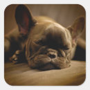 Suche nach french bulldog aufkleber Baby