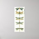 Suche nach libelle leinwandbilder Tiere