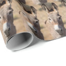 Suche nach lustiger esel geschenkpapier Pferd