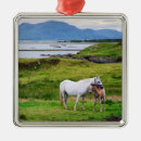Suche nach pferde ornamente Pony