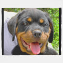 Suche nach rottweiler decken Welpe