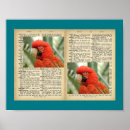 Suche nach vintage muster poster Vogelvogel