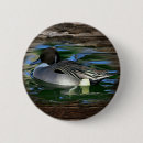 Suche nach ente buttons Vogelvogel