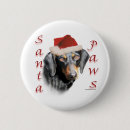 Suche nach dachshunds buttons Tiere