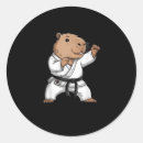 Suche nach taekwondo aufkleber Lustig