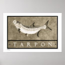 Suche nach tarpon poster Vintag