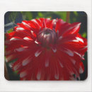 Suche nach rotes blume mousepads Flora