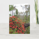 Suche nach strampler postkarten Blume