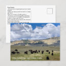 Suche nach yellowstone postkarten Usa