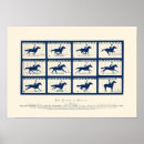 Suche nach bewegungen poster Pferd