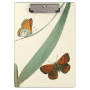 Suche nach blatt klemmbrett Schmetterlinge
