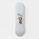 Suche nach fuchs skaten Skater